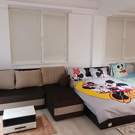 Myky Mouse Nu Primesc Santieristi Si Petrecareti