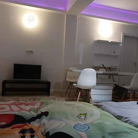 Apartment Myky Mouse Nu Primesc Santieristi Si Petrecareti