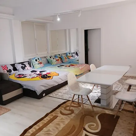 Апартаменты Myky Mouse Nu Primesc Santieristi Si Petrecareti *