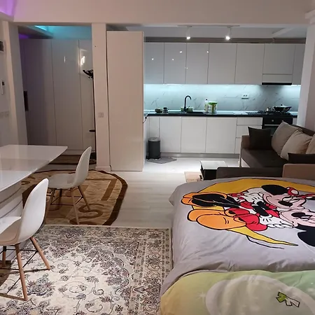 Apartment Myky Mouse Nu Primesc Santieristi Si Petrecareti