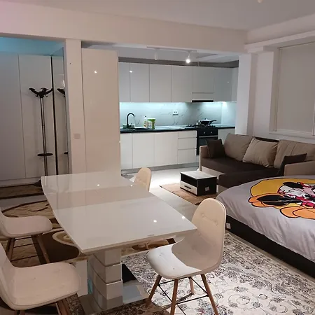 Myky Mouse Nu Primesc Santieristi Si Petrecareti Апартаменты *