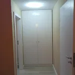 Myky Mouse Nu Primesc Santieristi Si Petrecareti *