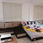 Myky Mouse Nu Primesc Santieristi Si Petrecareti