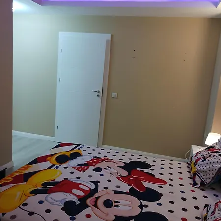 Apartment Myky Mouse Nu Primesc Santieristi Si Petrecareti *