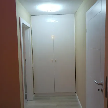 Myky Mouse Nu Primesc Santieristi Si Petrecareti *