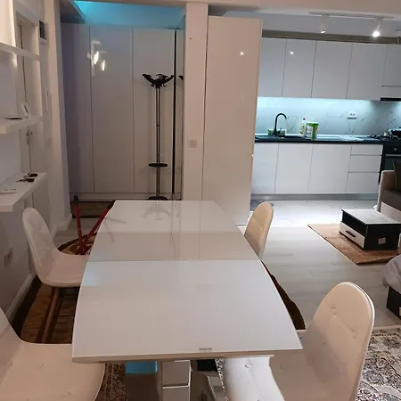 Myky Mouse Nu Primesc Santieristi Si Petrecareti Apartment Bucharest