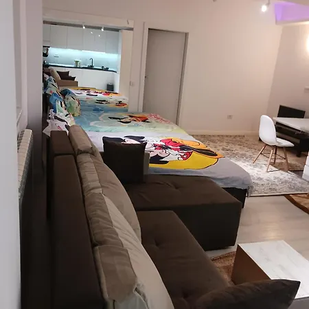 Myky Mouse Nu Primesc Santieristi Si Petrecareti *