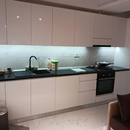 Myky Mouse Nu Primesc Santieristi Si Petrecareti Apartament