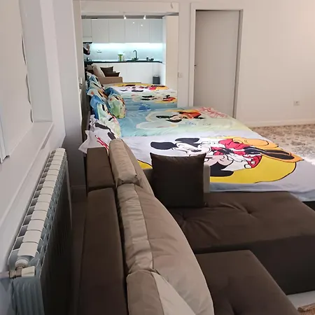 Apartment Myky Mouse Nu Primesc Santieristi Si Petrecareti