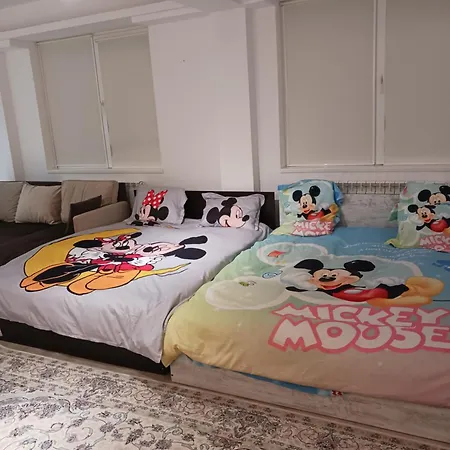 Myky Mouse Nu Primesc Santieristi Si Petrecareti * Bucharest