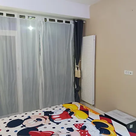 Myky Mouse Nu Primesc Santieristi Si Petrecareti *