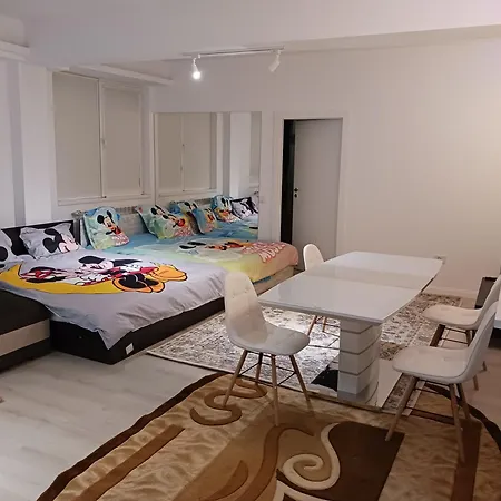 Myky Mouse Nu Primesc Santieristi Si Petrecareti Apartament *