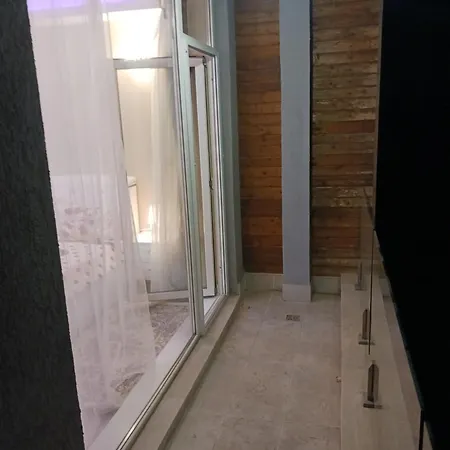 Myky Mouse Nu Primesc Santieristi Si Petrecareti Bucarest