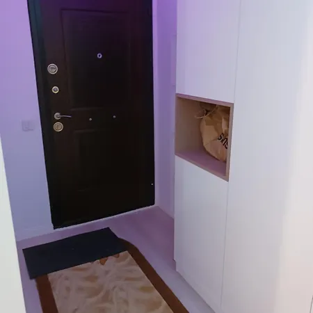 Myky Mouse Nu Primesc Santieristi Si Petrecareti