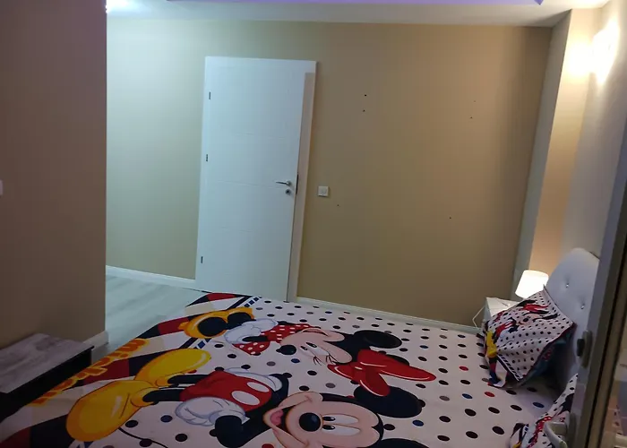 Lejlighed Myky Mouse Nu Primesc Santieristi Si Petrecareti *