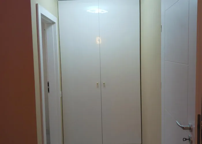 Myky Mouse Nu Primesc Santieristi Si Petrecareti *