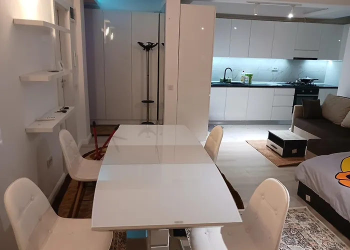 Myky Mouse Nu Primesc Santieristi Si Petrecareti Apartament Bucureşti