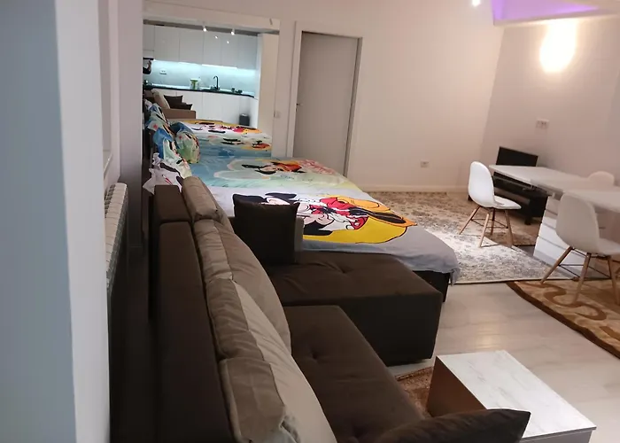 Myky Mouse Nu Primesc Santieristi Si Petrecareti *