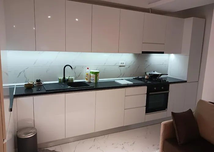 Myky Mouse Nu Primesc Santieristi Si Petrecareti Apartament