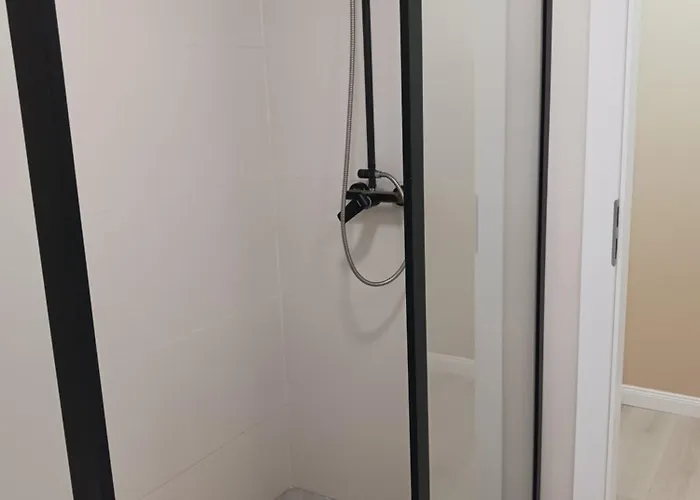 Myky Mouse Nu Primesc Santieristi Si Petrecareti *