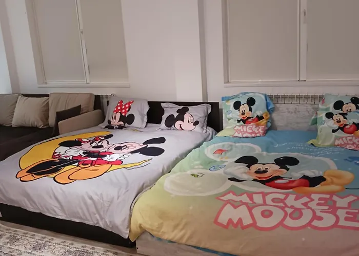 Myky Mouse Nu Primesc Santieristi Si Petrecareti * בוקרשט