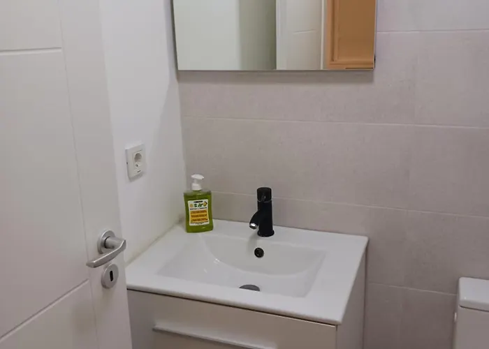 Myky Mouse Nu Primesc Santieristi Si Petrecareti