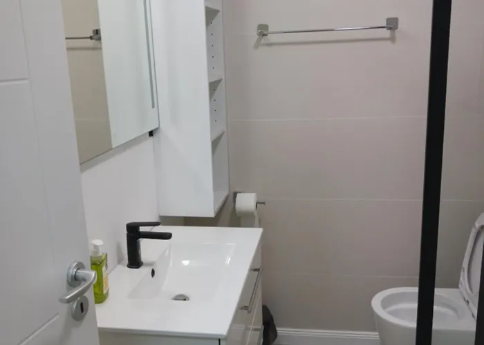 Myky Mouse Nu Primesc Santieristi Si Petrecareti Apartament Bucureşti