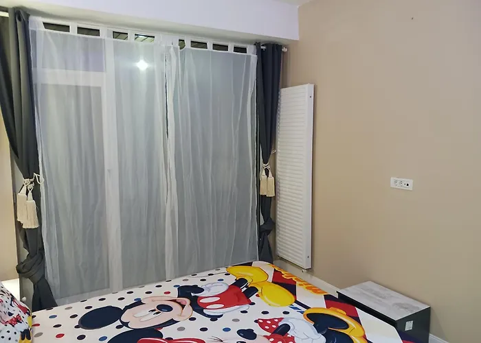 Myky Mouse Nu Primesc Santieristi Si Petrecareti *