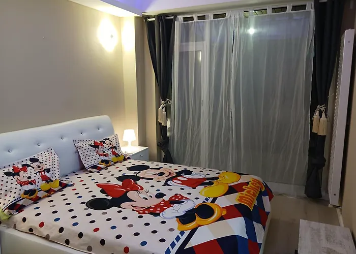 Myky Mouse Nu Primesc Santieristi Si Petrecareti Apartament