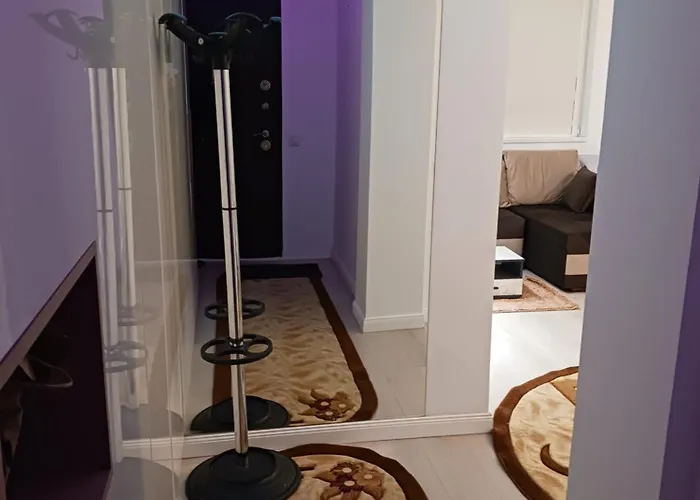 דירה Myky Mouse Nu Primesc Santieristi Si Petrecareti