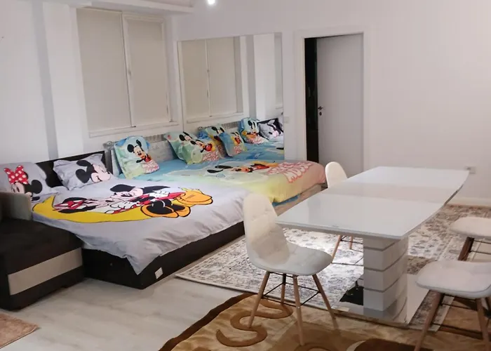 דירה Myky Mouse Nu Primesc Santieristi Si Petrecareti *