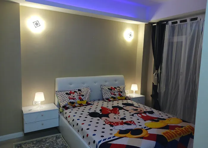 Myky Mouse Nu Primesc Santieristi Si Petrecareti Apartament Bucureşti