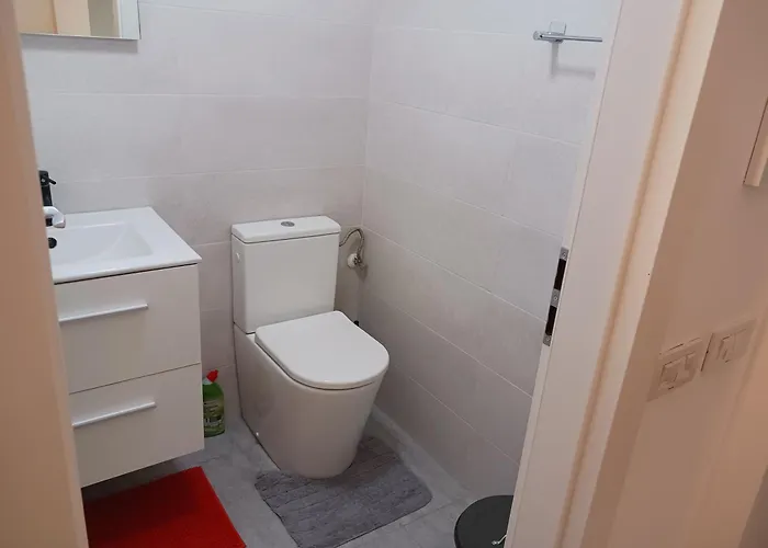 Myky Mouse Nu Primesc Santieristi Si Petrecareti *