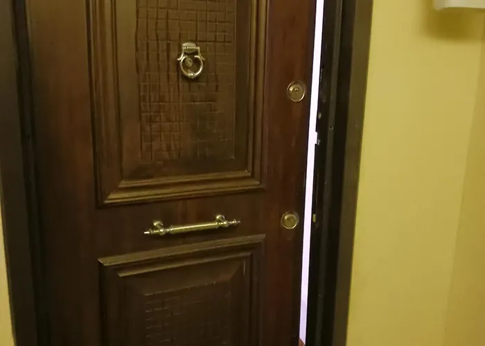 Myky Mouse Nu Primesc Santieristi Si Petrecareti Bukarest