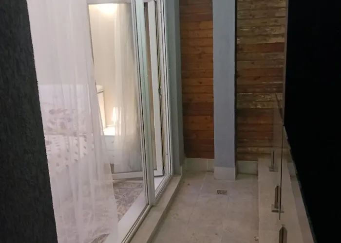 Myky Mouse Nu Primesc Santieristi Si Petrecareti Bukarest