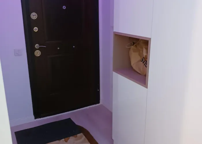 Myky Mouse Nu Primesc Santieristi Si Petrecareti