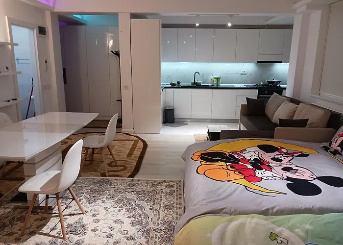 Apartament Myky Mouse Nu Primesc Santieristi Si Petrecareti