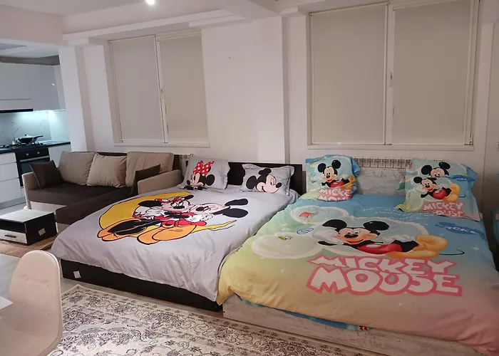 Apartament Myky Mouse Nu Primesc Santieristi Si Petrecareti Bucureşti