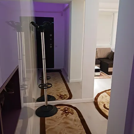 Apartment Myky Mouse Nu Primesc Santieristi Si Petrecareti