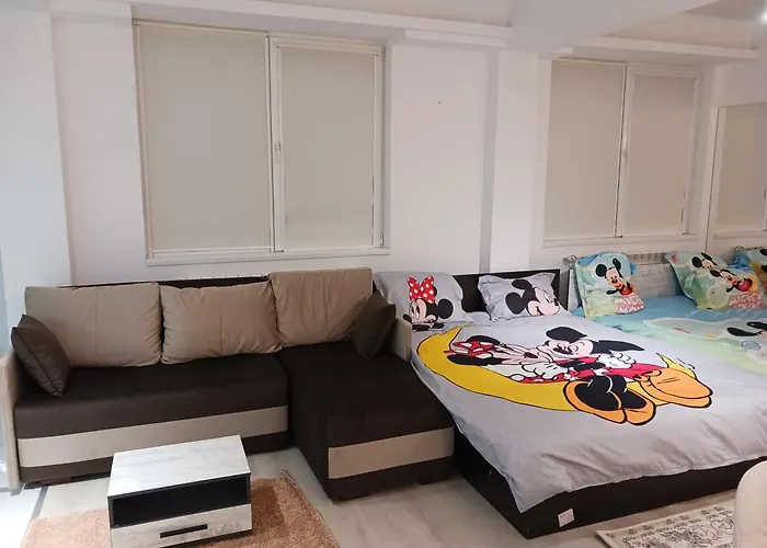 Myky Mouse Nu Primesc Santieristi Si Petrecareti