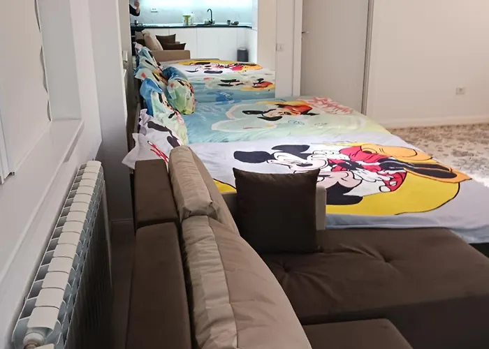 Appartement Myky Mouse Nu Primesc Santieristi Si Petrecareti