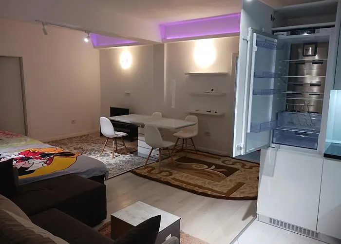 Appartement Myky Mouse Nu Primesc Santieristi Si Petrecareti *
