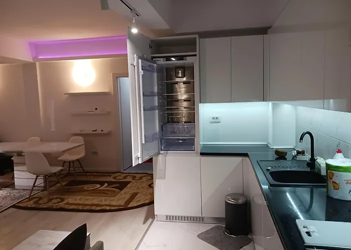 Appartement Myky Mouse Nu Primesc Santieristi Si Petrecareti Boekarest