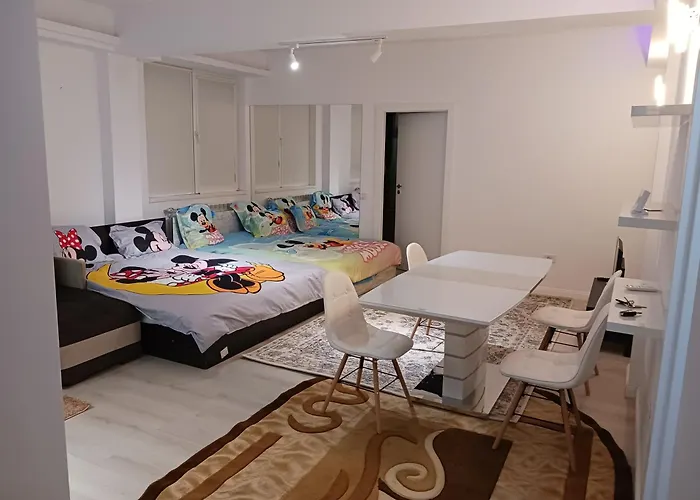 Myky Mouse Nu Primesc Santieristi Si Petrecareti Appartement *