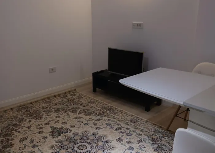 Myky Mouse Nu Primesc Santieristi Si Petrecareti Appartement Boekarest