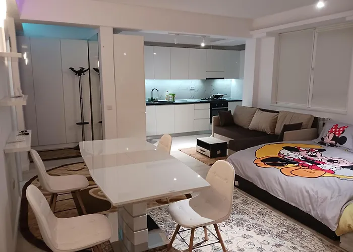 Myky Mouse Nu Primesc Santieristi Si Petrecareti Appartement *